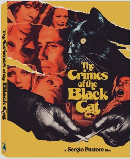 1221_crimes-black-cat