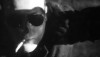 12386_48-Stunden-bis-Acapulco04.jpg