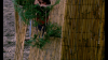 13534_Cannibal-Terror-screenshot03.png