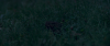 13706_Aura-screenshot09.png