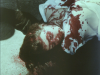 13992_Estigma-screenshot05.png