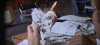 16123_il-tuo-dolce-corpo-da-uccidere03.png