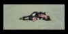 16206_Shining-Sex-screenshot06.jpg