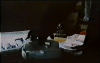 2079_death-steps-in-the-dark2.png