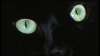 2172_The_Crimes_of_the_Black_Cat03.png