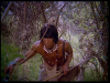 4395_manaos_die_sklaventreiber_vom_amazonas11.png