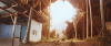 4513_rueckkehr-der-wildgaense-die10.png