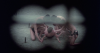 4908_120-tage-von-sodom-die12.png