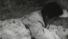 5369_llanero-el06.png