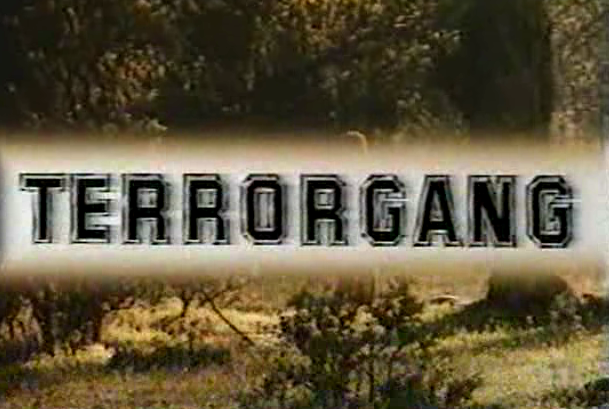 Terrorgang