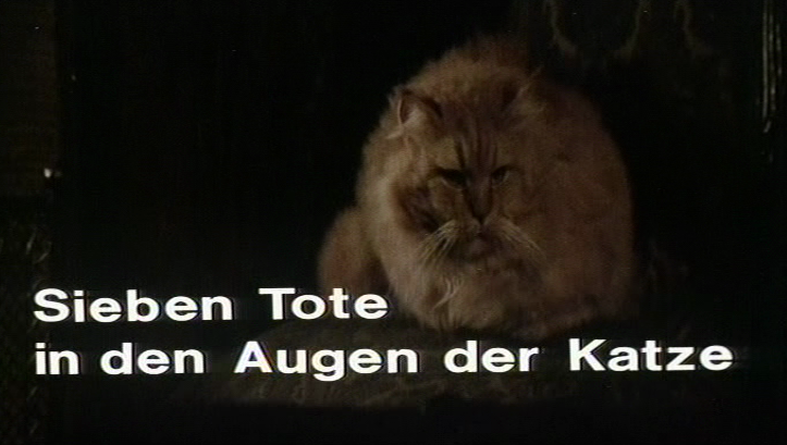 Sieben Tote in den Augen der Katze