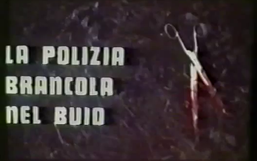 polizia brancola nel buio, La