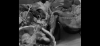 8711_Singapore-Sling_07.png