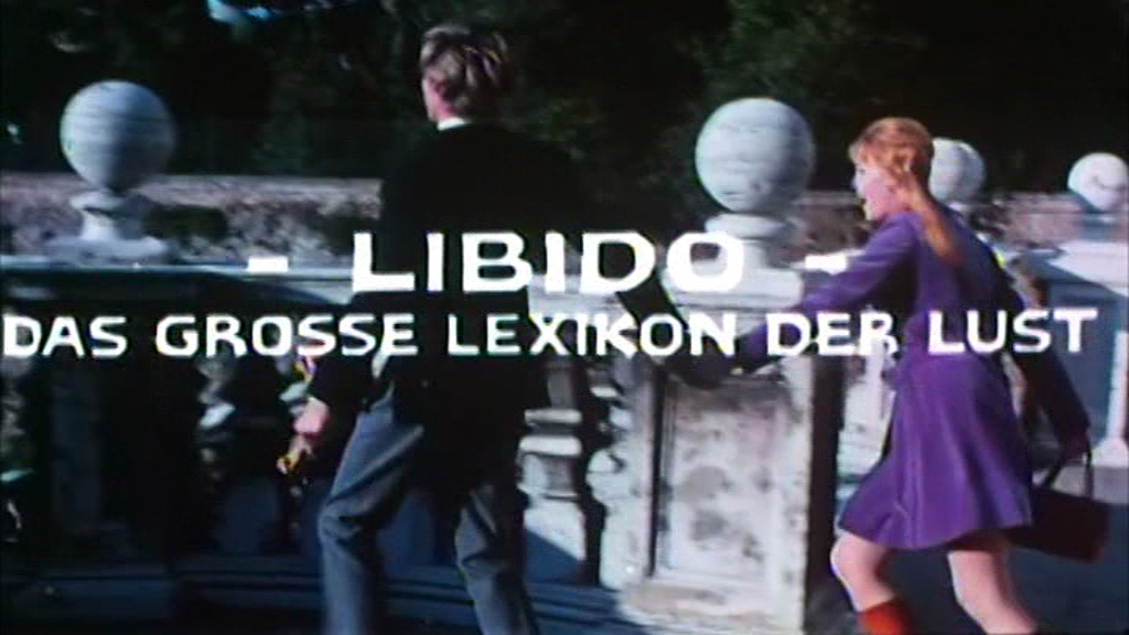 Libido - Das große Lexikon der Lust